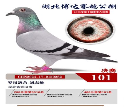 博達(dá)春棚決賽101名