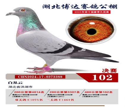 博達(dá)春棚決賽102名