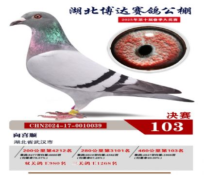 博達(dá)春棚決賽103名