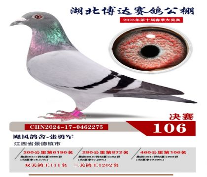 博達(dá)春棚決賽106名