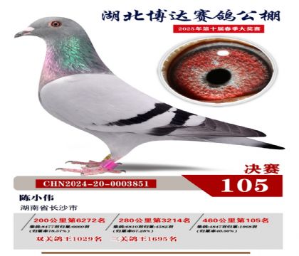 博達(dá)春棚決賽105名