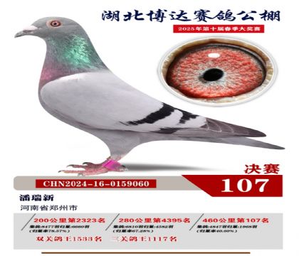 博達(dá)春棚決賽107名