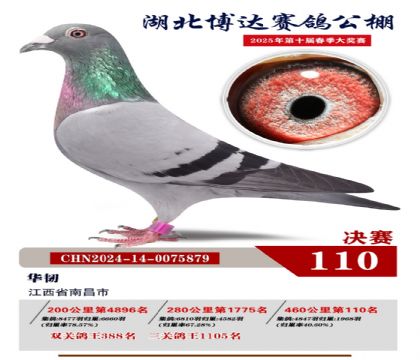 博達(dá)春棚決賽110名