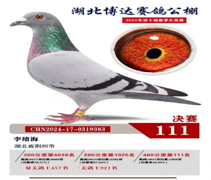 博達(dá)春棚決賽111名