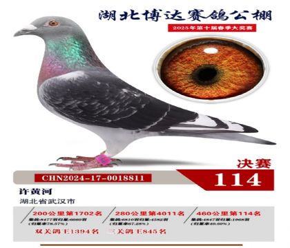 博達(dá)春棚決賽114名
