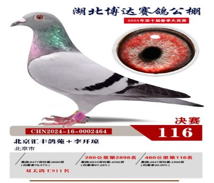 博達(dá)春棚決賽116名