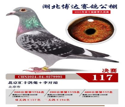 博達(dá)春棚決賽117名