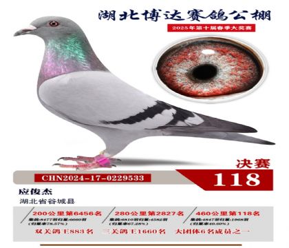博達(dá)春棚決賽118名