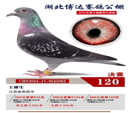 博達(dá)春棚決賽120名