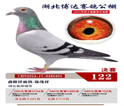 博達(dá)春棚決賽122名