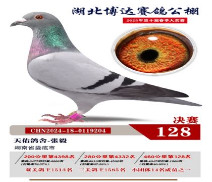 博達(dá)春棚決賽128名