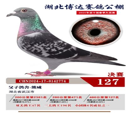 博達(dá)春棚決賽127名