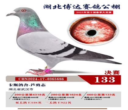 博達(dá)春棚決賽133名