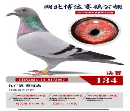 博達(dá)春棚決賽134名