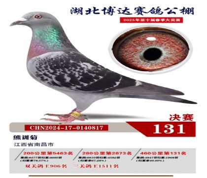 博達(dá)春棚決賽131名