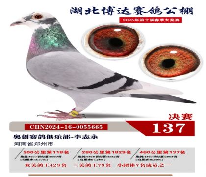 博達(dá)春棚決賽137名