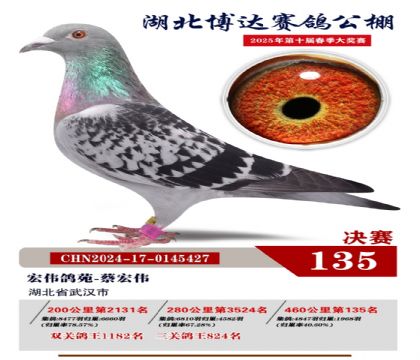 博達(dá)春棚決賽135名
