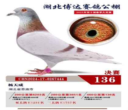 博達(dá)春棚決賽136名
