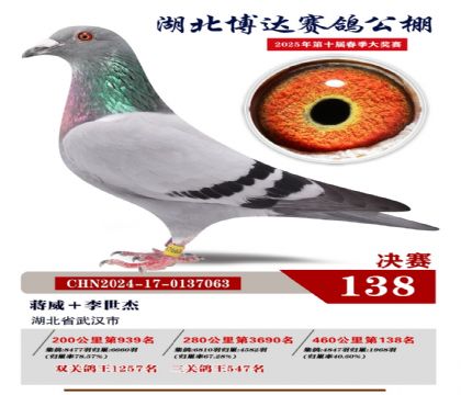 博達(dá)春棚決賽138名