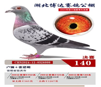 博達(dá)春棚決賽140名