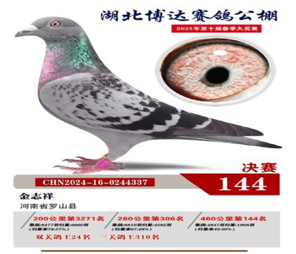博達(dá)春棚決賽144名