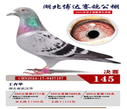博達(dá)春棚決賽145名