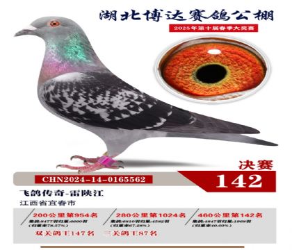 博達(dá)春棚決賽142名