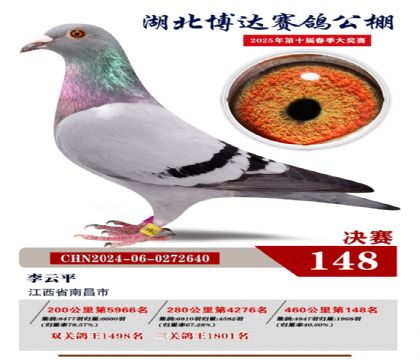 博達(dá)春棚決賽148名