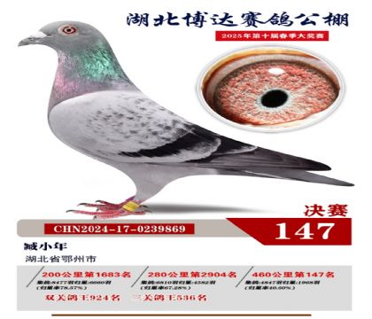 博達(dá)春棚決賽147名