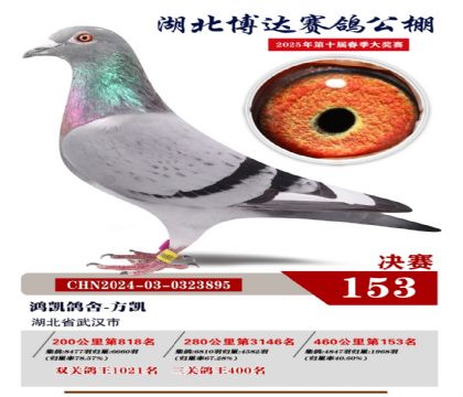 博達(dá)春棚決賽153名