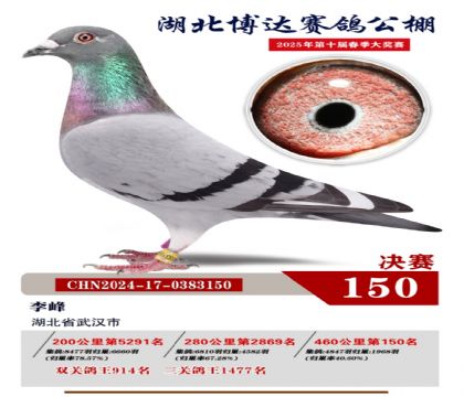 博達(dá)春棚決賽150名