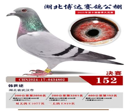 博達(dá)春棚決賽152名