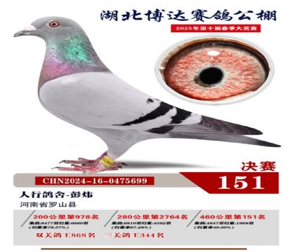博達(dá)春棚決賽151名