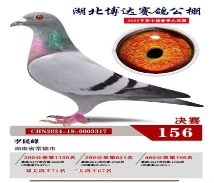 博達(dá)春棚決賽156名