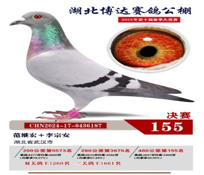 博達(dá)春棚決賽155名