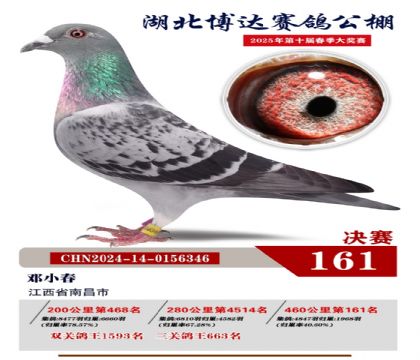 博達(dá)春棚決賽161名