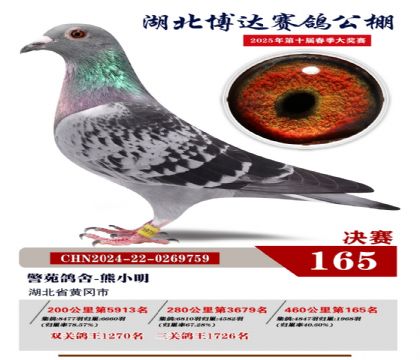 博達(dá)春棚決賽165名