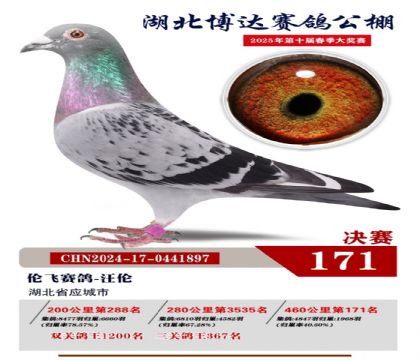 博達(dá)春棚決賽171名