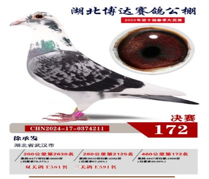 博達(dá)春棚決賽172名