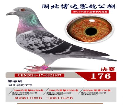博達(dá)春棚決賽176名
