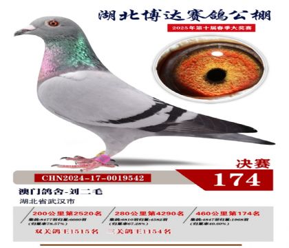 博達(dá)春棚決賽174名