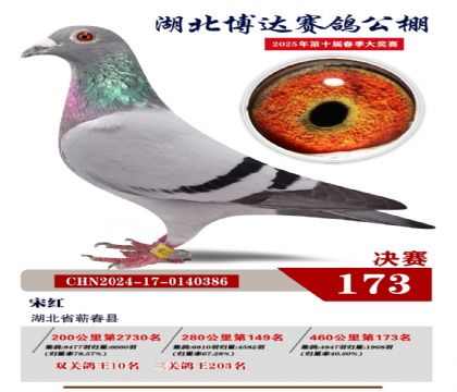 博達(dá)春棚決賽173名