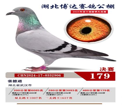 博達(dá)春棚決賽179名