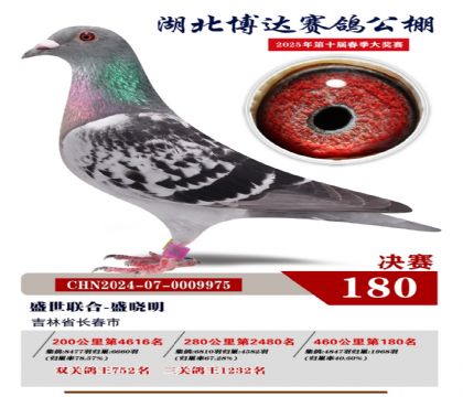 博達(dá)春棚決賽180名