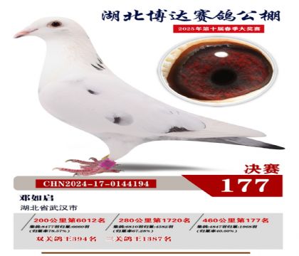 博達(dá)春棚決賽177名