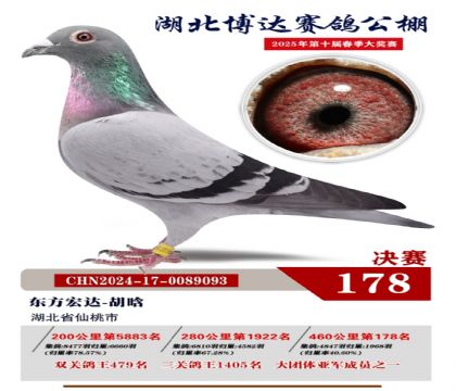 博達(dá)春棚決賽178名