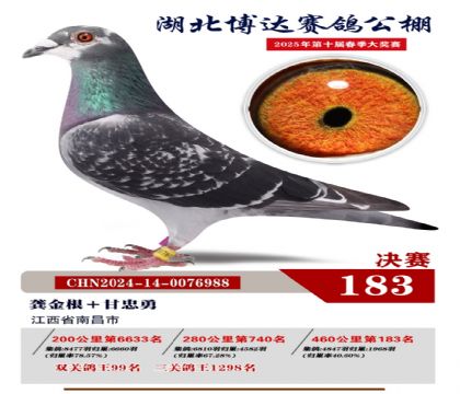 博達(dá)春棚決賽183名