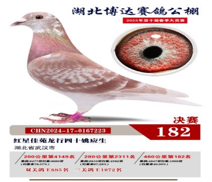 博達(dá)春棚決賽182名
