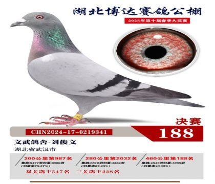 博達(dá)春棚決賽188名