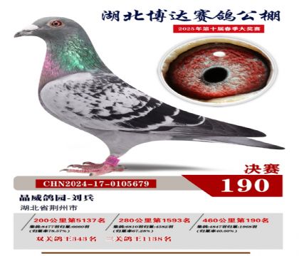 博達(dá)春棚決賽190名